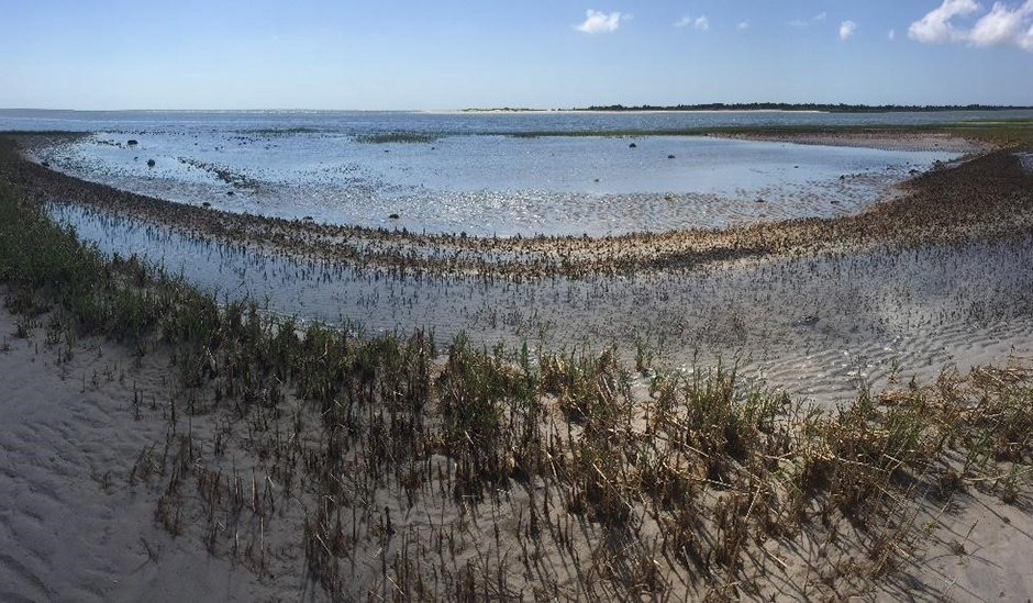 north-jones-estuarine-beach-1-gallery-crop