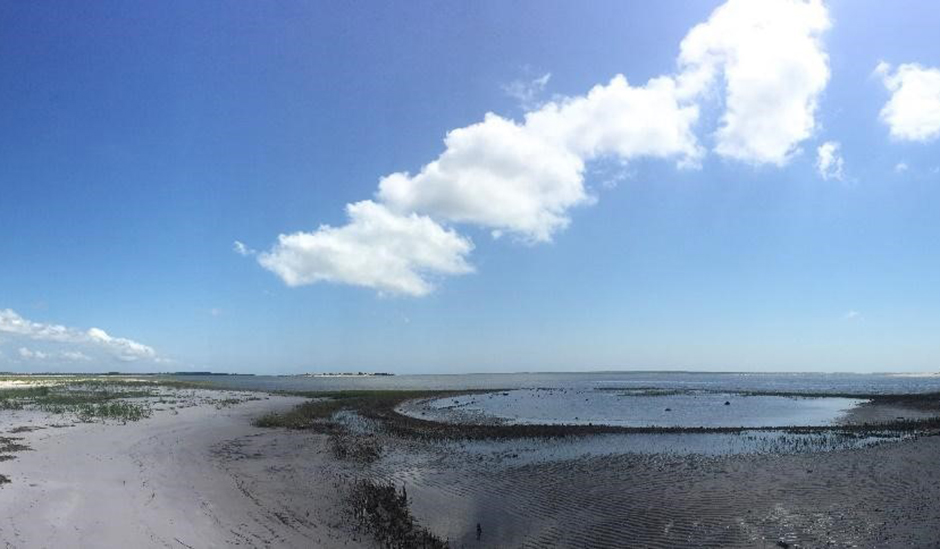 north-jones-estuarine-beach-2-gallery-crop