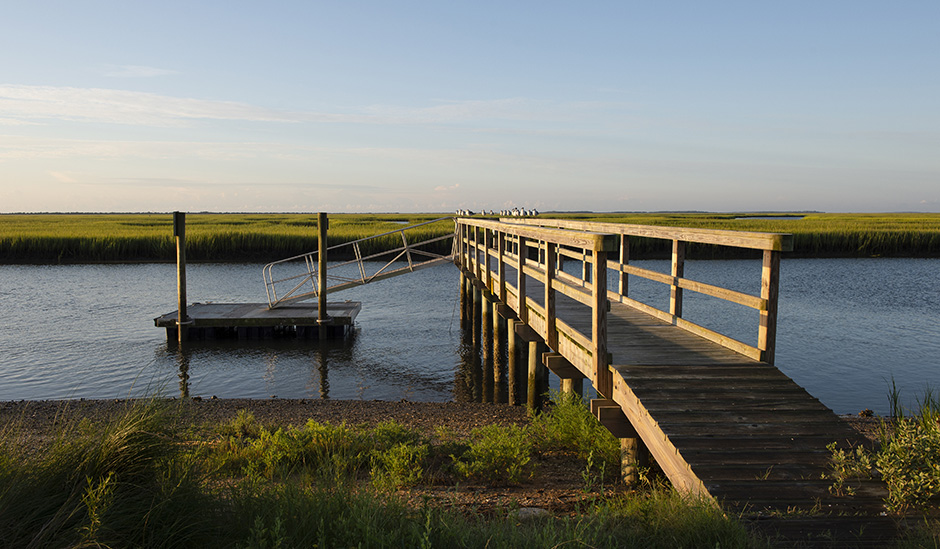 clambank-gallery-1