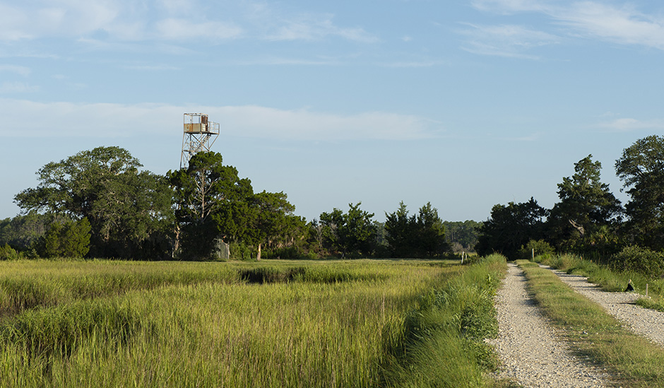 clambank-gallery-2