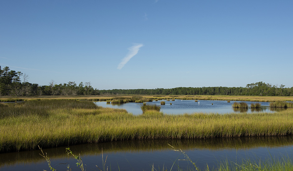 goat-island-causeway-gallery-3