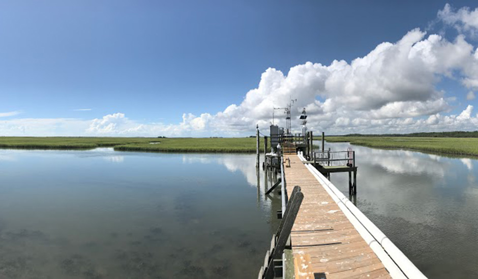 oyster-landing-gallery-2