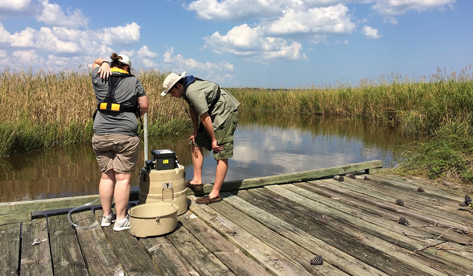 thousand-acre-marsh-gallery-1