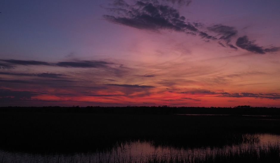 Sunset during the 'Shorebirds at Sunset' program